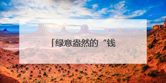 绿意盎然的“钱袋子”：高原夏菜成富民产业