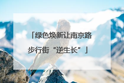 绿色焕新让南京路步行街“逆生长”