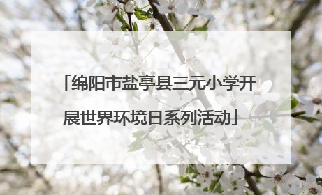 绵阳市盐亭县三元小学开展世界环境日系列活动