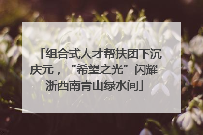 组合式人才帮扶团下沉庆元，“希望之光”闪耀浙西南青山绿水间
