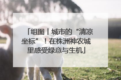 组图丨城市的“清凉坐标”！在株洲神农城里感受绿意与生机