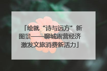 绘就“诗与远方”新图景——聊城露营经济激发文旅消费新活力