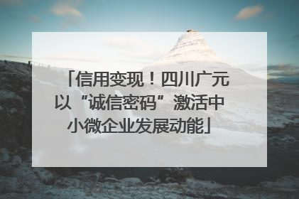信用变现！四川广元以“诚信密码”激活中小微企业发展动能