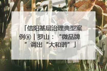 信阳基层治理典型案例⑧｜罗山：“微品牌”调出“大和谐”