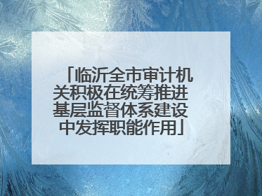 临沂全市审计机关积极在统筹推进基层监督体系建设中发挥职能作用