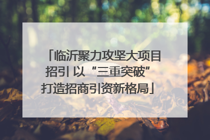 临沂聚力攻坚大项目招引 以“三重突破”打造招商引资新格局