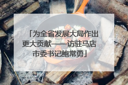 为全省发展大局作出更大贡献——访驻马店市委书记鲍常勇