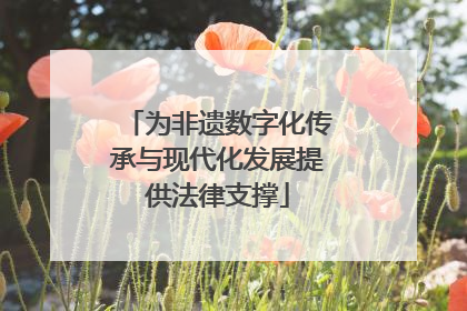 为非遗数字化传承与现代化发展提供法律支撑