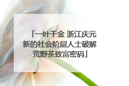 一叶千金 浙江庆元新的社会阶层人士破解荒野茶致富密码