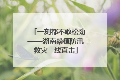 一刻都不敢松劲——湖南桑植防汛救灾一线直击