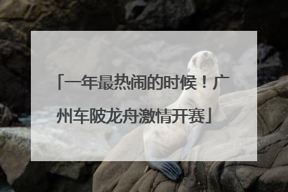 一年最热闹的时候！广州车陂龙舟激情开赛