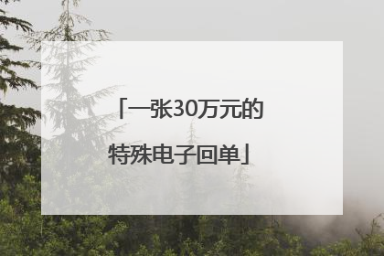一张30万元的特殊电子回单