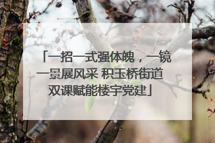 一招一式强体魄，一镜一景展风采 积玉桥街道双课赋能楼宇党建