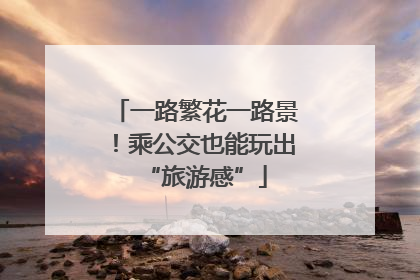 一路繁花一路景！乘公交也能玩出“旅游感”