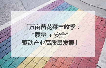 万亩黄花菜丰收季：“质量 + 安全” 驱动产业高质量发展