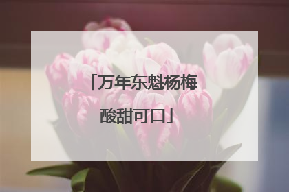 万年东魁杨梅 酸甜可口