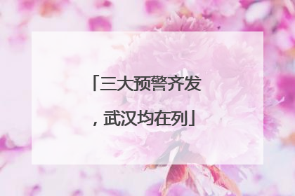 三大预警齐发，武汉均在列