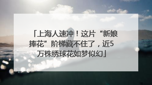 上海人速冲！这片“新娘捧花”阶梯藏不住了，近5万株绣球花如梦似幻