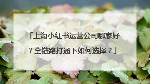 上海小红书运营公司哪家好？全链路打通下如何选择？