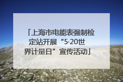 上海市电能表强制检定站开展“5·20世界计量日”宣传活动