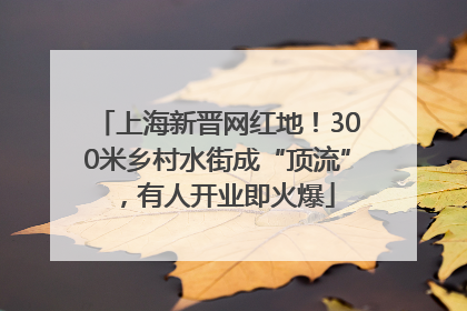 上海新晋网红地！300米乡村水街成“顶流”，有人开业即火爆