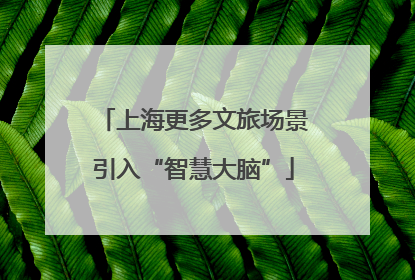 上海更多文旅场景引入“智慧大脑”
