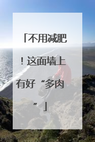 不用减肥！这面墙上有好“多肉”
