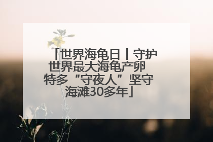 世界海龟日丨守护世界最大海龟产卵 特多“守夜人”坚守海滩30多年