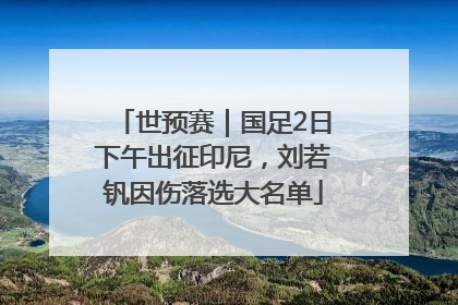 世预赛｜国足2日下午出征印尼，刘若钒因伤落选大名单