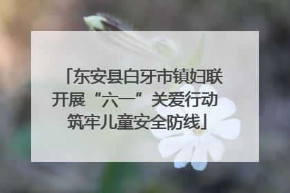 东安县白牙市镇妇联开展“六一”关爱行动 筑牢儿童安全防线