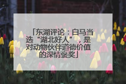 东湖评论：白马当选“湖北好人”，是对动物伙伴道德价值的深情褒奖