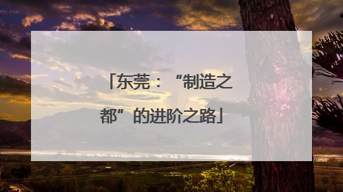 东莞：“制造之都”的进阶之路