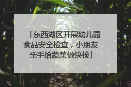 东西湖区开展幼儿园食品安全检查，小朋友亲手给蔬菜做快检
