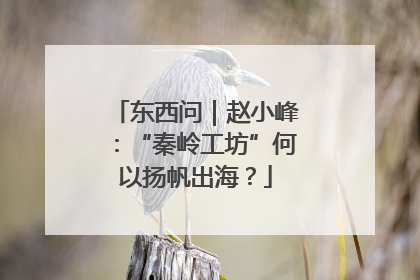 东西问｜赵小峰：“秦岭工坊”何以扬帆出海？