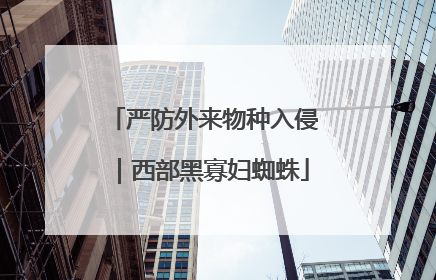 严防外来物种入侵｜西部黑寡妇蜘蛛