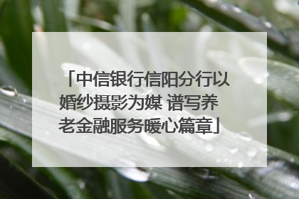 中信银行信阳分行以婚纱摄影为媒 谱写养老金融服务暖心篇章