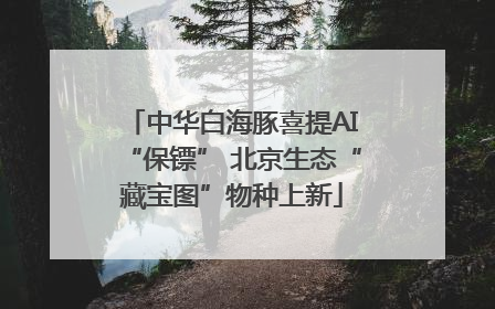 中华白海豚喜提AI“保镖” 北京生态“藏宝图”物种上新