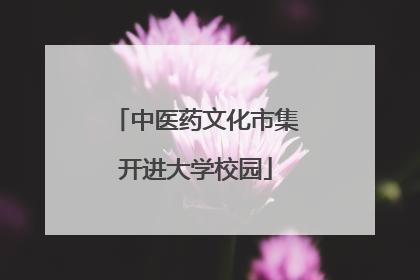 中医药文化市集开进大学校园