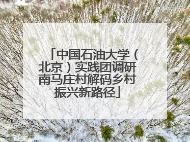 中国石油大学（北京）实践团调研南马庄村解码乡村振兴新路径