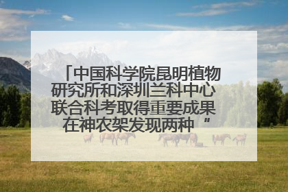 中国科学院昆明植物研究所和深圳兰科中心联合科考取得重要成果 在神农架发现两种“国保”级兰花