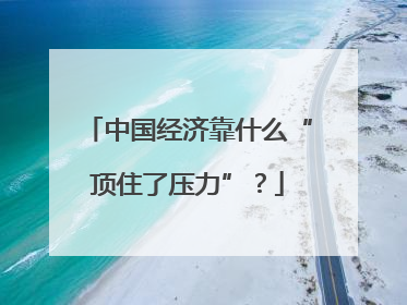 中国经济靠什么“顶住了压力”？