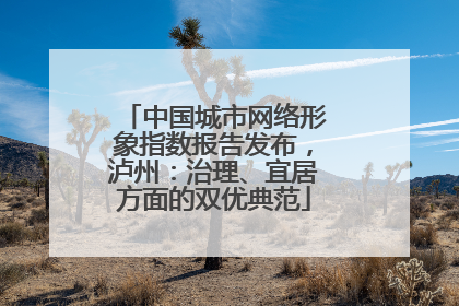 中国城市网络形象指数报告发布，泸州：治理、宜居方面的双优典范