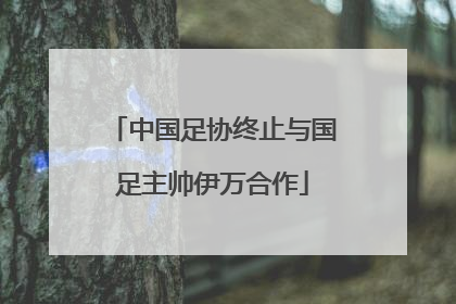 中国足协终止与国足主帅伊万合作