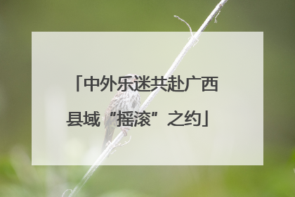 中外乐迷共赴广西县域“摇滚”之约