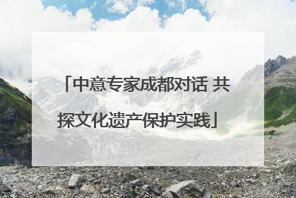 中意专家成都对话 共探文化遗产保护实践