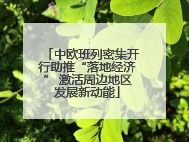 中欧班列密集开行助推“落地经济” 激活周边地区发展新动能