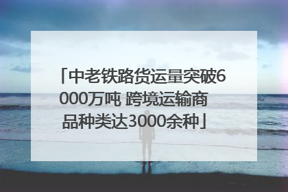 中老铁路货运量突破6000万吨 跨境运输商品种类达3000余种