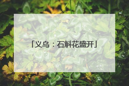 义乌：石斛花盛开