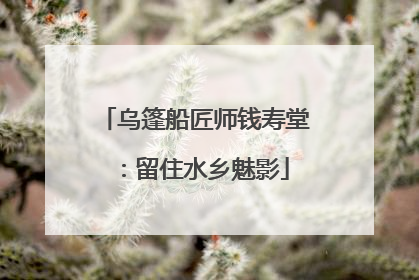 乌篷船匠师钱寿堂：留住水乡魅影