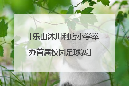 乐山沐川利店小学举办首届校园足球赛